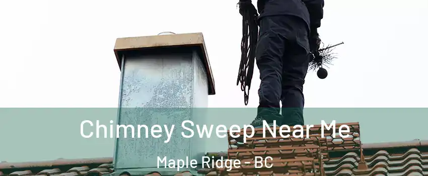  Chimney Sweep Near Me Maple Ridge - BC