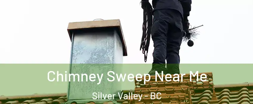  Chimney Sweep Near Me Silver Valley - BC