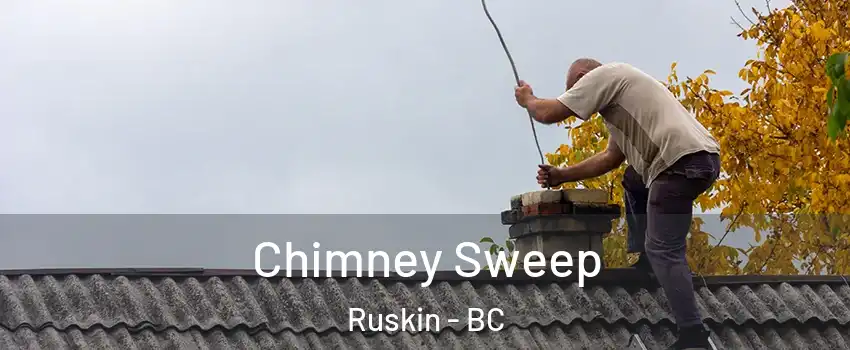  Chimney Sweep Ruskin - BC