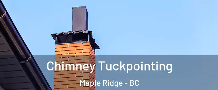  Chimney Tuckpointing Maple Ridge - BC