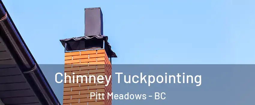  Chimney Tuckpointing Pitt Meadows - BC