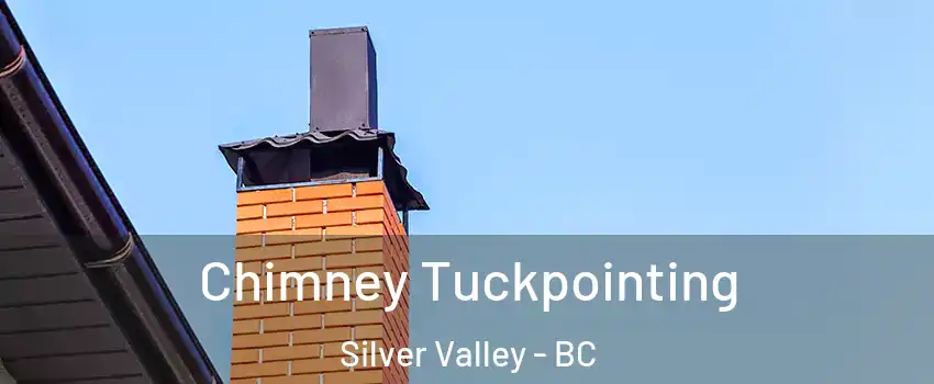  Chimney Tuckpointing Silver Valley - BC