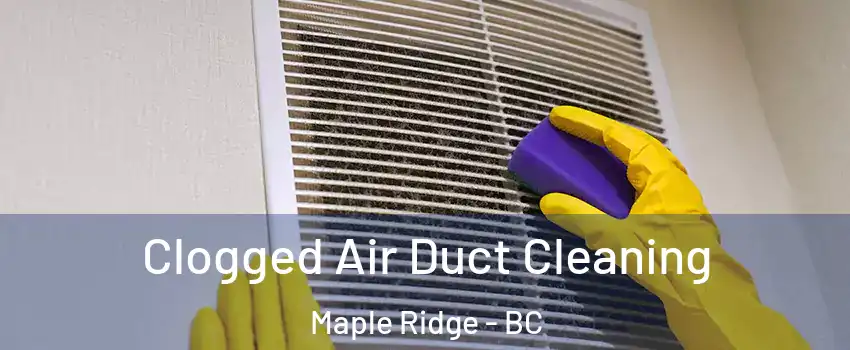  Clogged Air Duct Cleaning Maple Ridge - BC