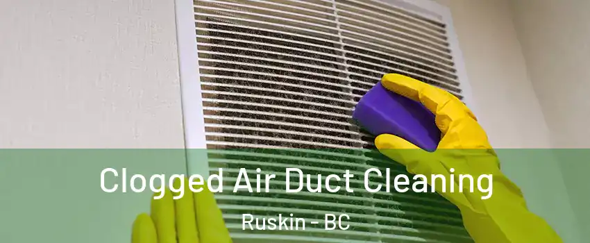  Clogged Air Duct Cleaning Ruskin - BC