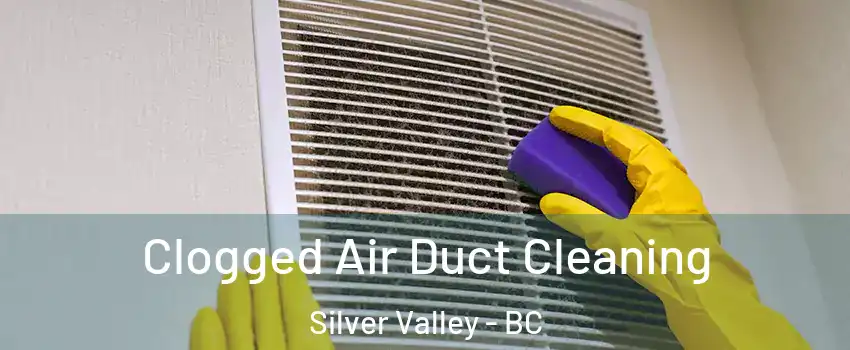  Clogged Air Duct Cleaning Silver Valley - BC