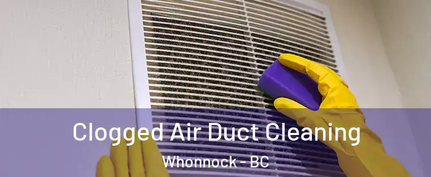  Clogged Air Duct Cleaning Whonnock - BC