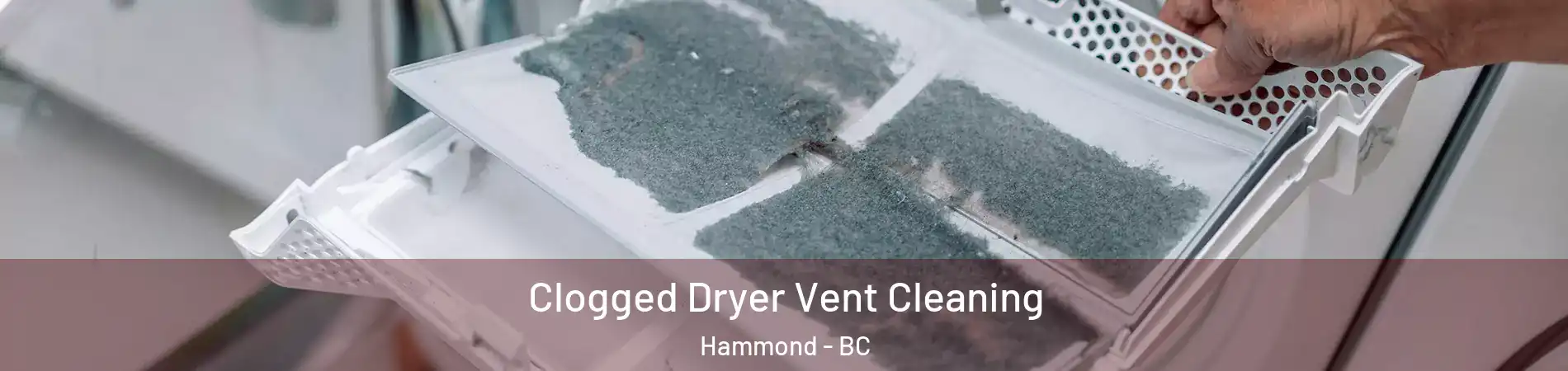  Clogged Dryer Vent Cleaning Hammond - BC