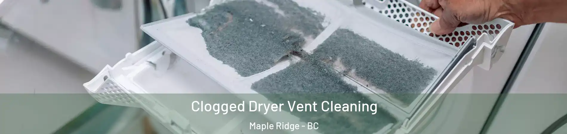  Clogged Dryer Vent Cleaning Maple Ridge - BC