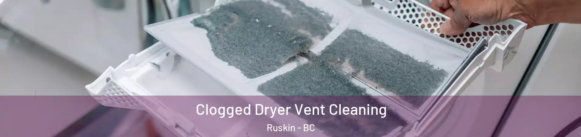  Clogged Dryer Vent Cleaning Ruskin - BC