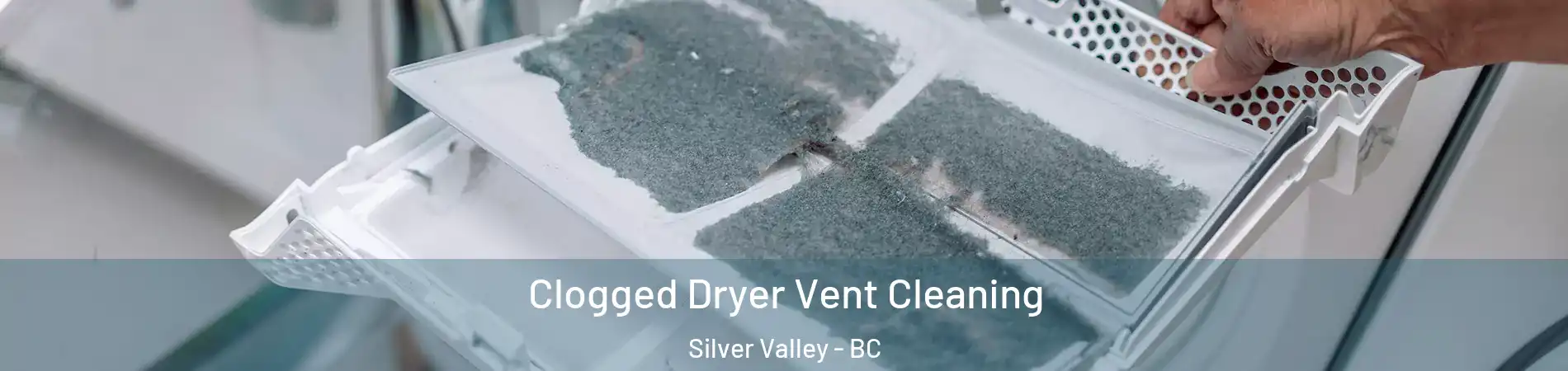  Clogged Dryer Vent Cleaning Silver Valley - BC