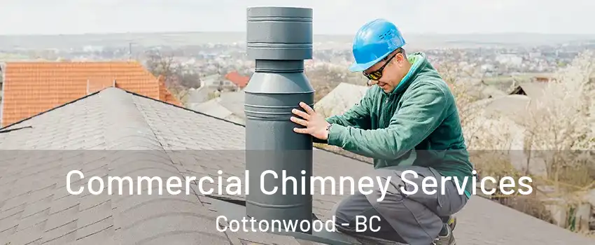  Commercial Chimney Services Cottonwood - BC
