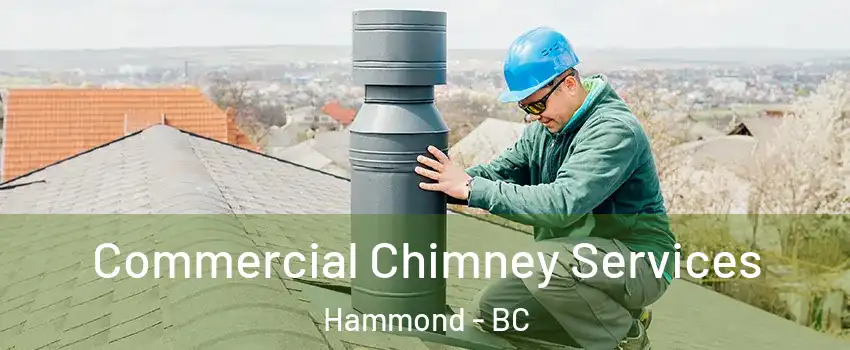  Commercial Chimney Services Hammond - BC