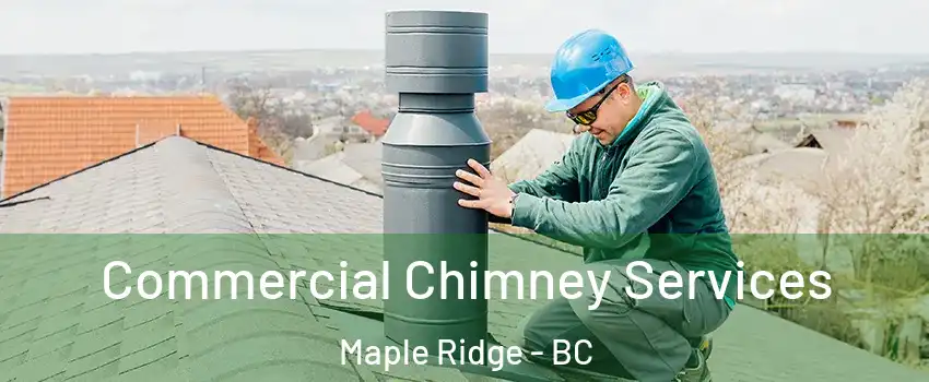  Commercial Chimney Services Maple Ridge - BC