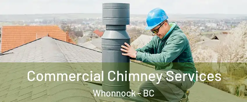  Commercial Chimney Services Whonnock - BC