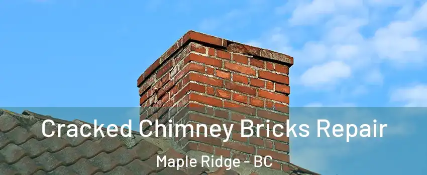  Cracked Chimney Bricks Repair Maple Ridge - BC