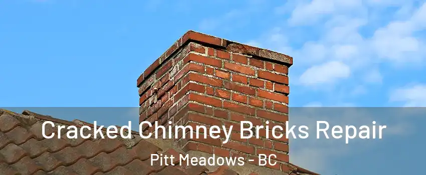  Cracked Chimney Bricks Repair Pitt Meadows - BC
