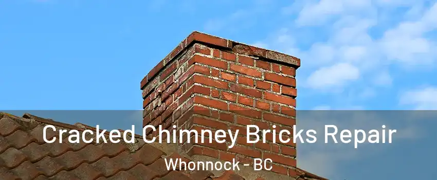  Cracked Chimney Bricks Repair Whonnock - BC