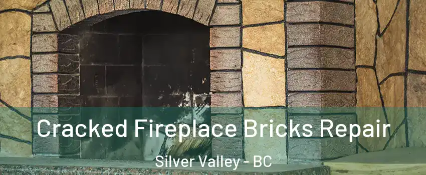  Cracked Fireplace Bricks Repair Silver Valley - BC