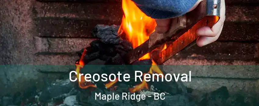  Creosote Removal Maple Ridge - BC