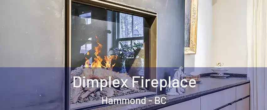  Dimplex Fireplace Hammond - BC