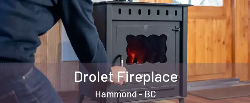  Drolet Fireplace Hammond - BC