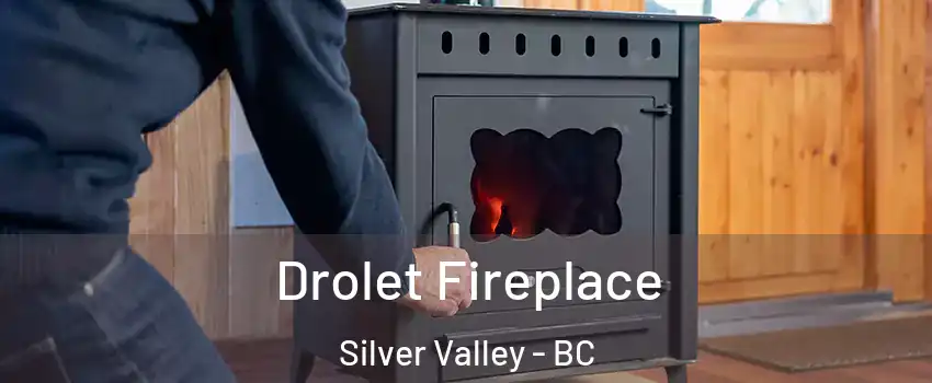  Drolet Fireplace Silver Valley - BC
