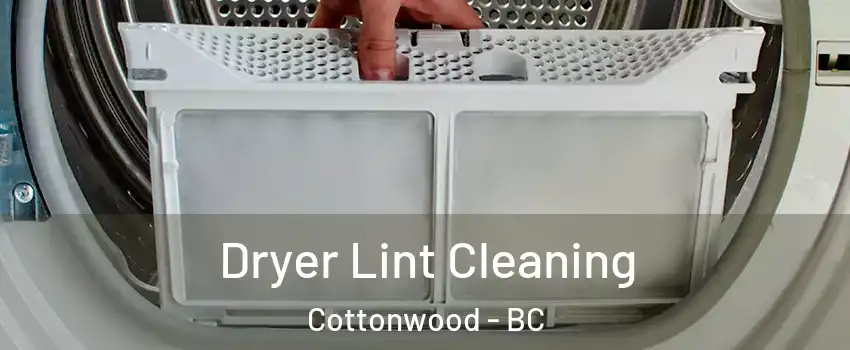  Dryer Lint Cleaning Cottonwood - BC