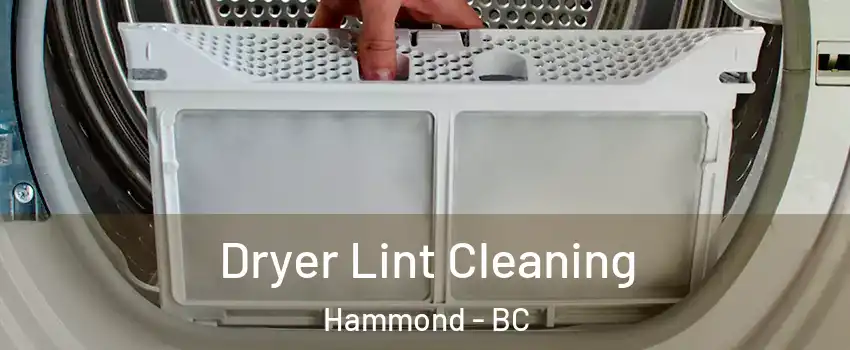  Dryer Lint Cleaning Hammond - BC