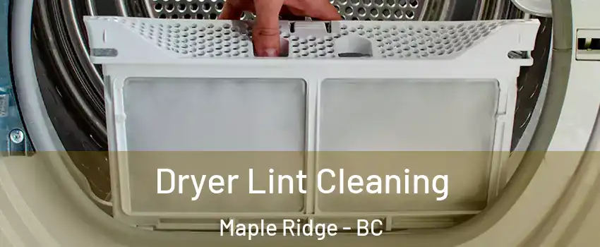  Dryer Lint Cleaning Maple Ridge - BC