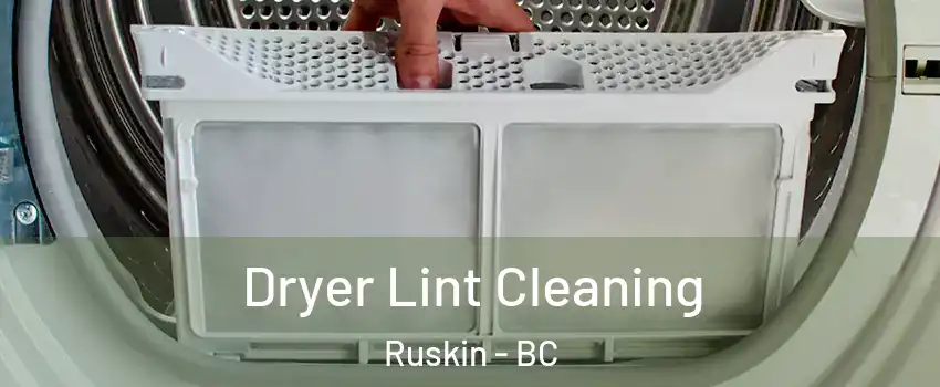  Dryer Lint Cleaning Ruskin - BC