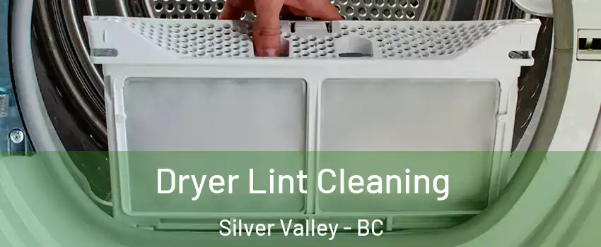  Dryer Lint Cleaning Silver Valley - BC