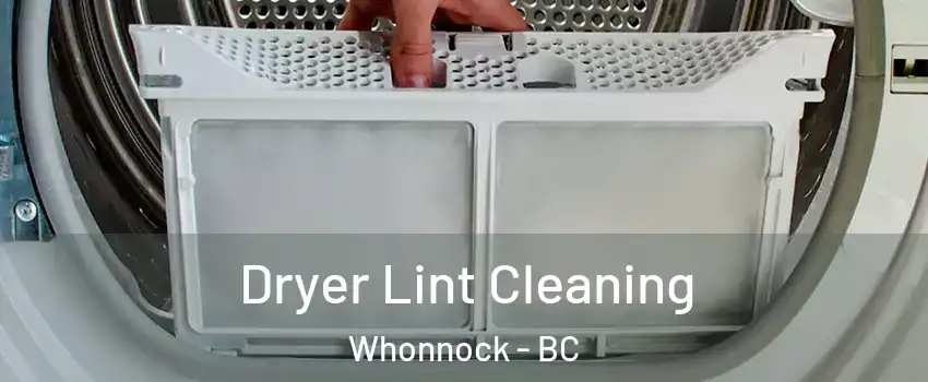  Dryer Lint Cleaning Whonnock - BC