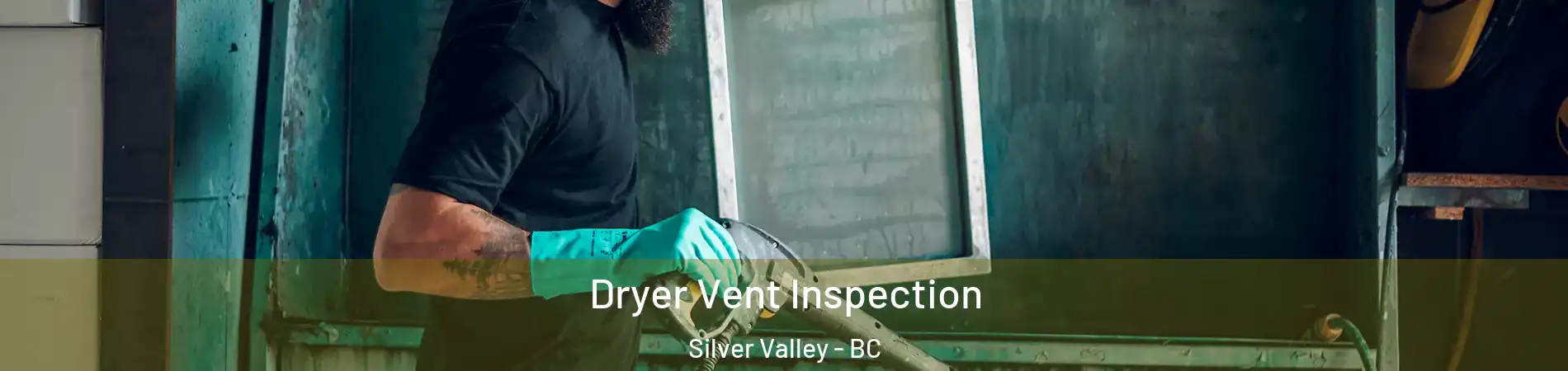  Dryer Vent Inspection Silver Valley - BC