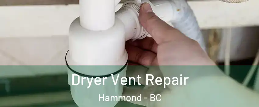 Dryer Vent Repair Hammond - BC