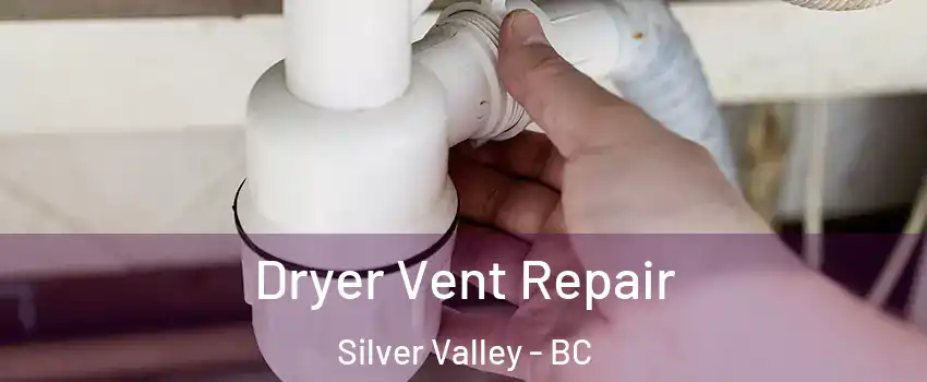  Dryer Vent Repair Silver Valley - BC