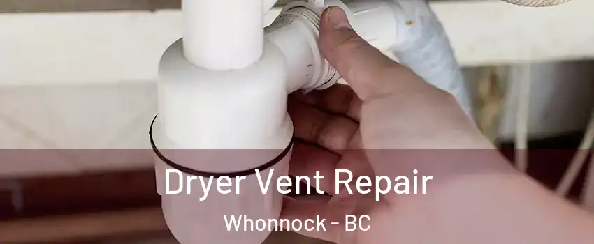  Dryer Vent Repair Whonnock - BC