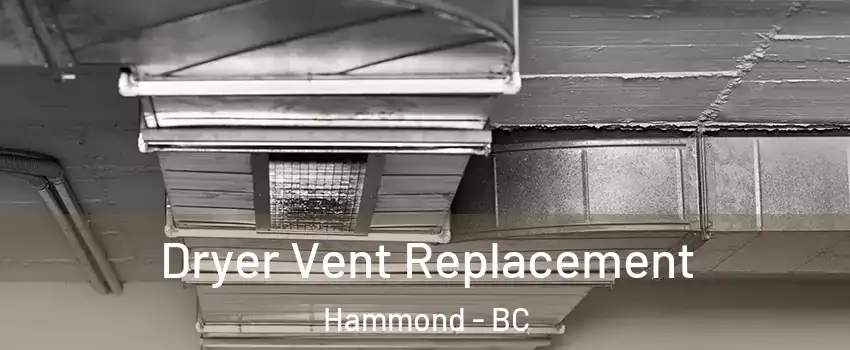  Dryer Vent Replacement Hammond - BC