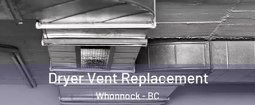  Dryer Vent Replacement Whonnock - BC