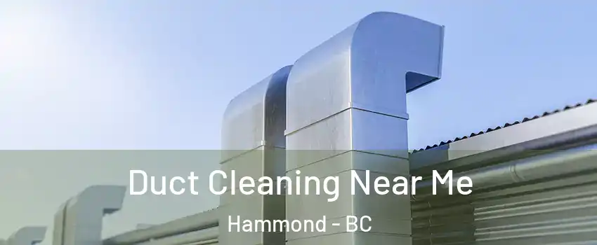  Duct Cleaning Near Me Hammond - BC