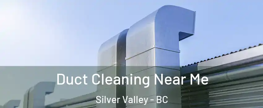  Duct Cleaning Near Me Silver Valley - BC
