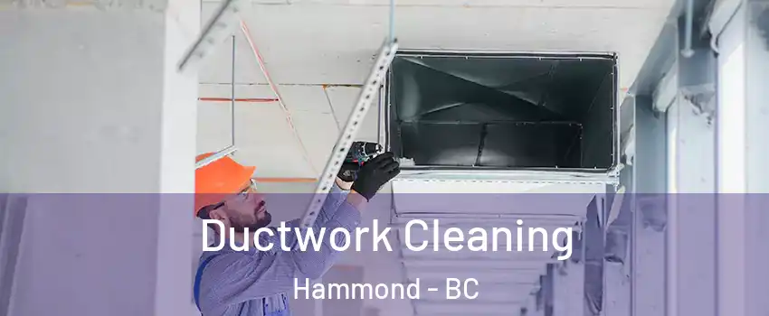  Ductwork Cleaning Hammond - BC