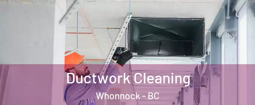  Ductwork Cleaning Whonnock - BC