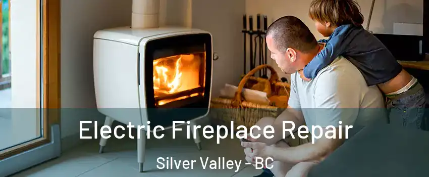  Electric Fireplace Repair Silver Valley - BC