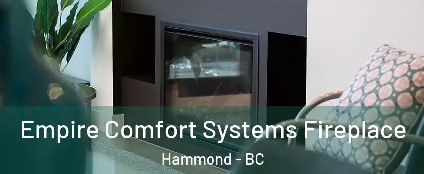  Empire Comfort Systems Fireplace Hammond - BC