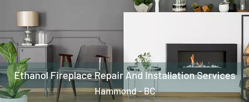  Ethanol Fireplace Repair And Installation Services Hammond - BC