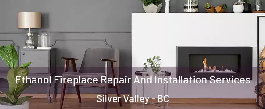  Ethanol Fireplace Repair And Installation Services Silver Valley - BC