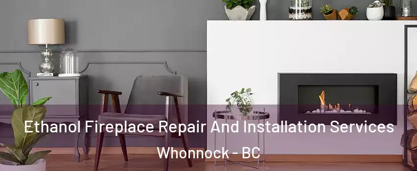  Ethanol Fireplace Repair And Installation Services Whonnock - BC