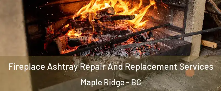  Fireplace Ashtray Repair And Replacement Services Maple Ridge - BC