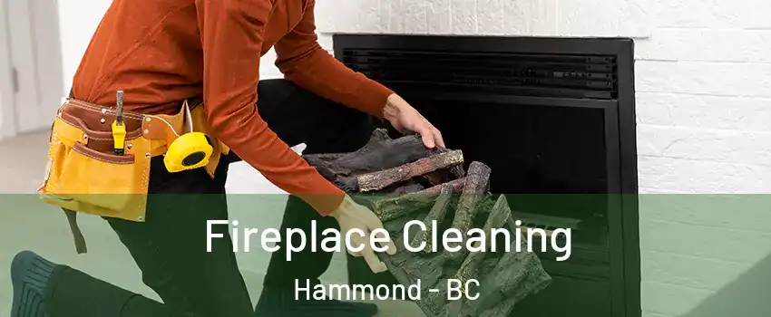  Fireplace Cleaning Hammond - BC