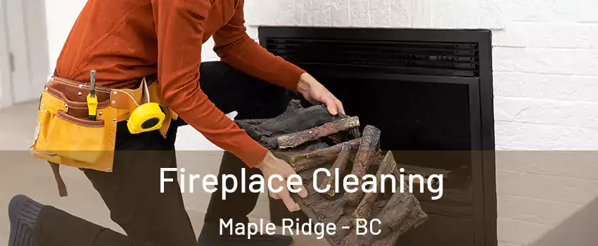  Fireplace Cleaning Maple Ridge - BC